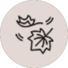 Icon of leaves falling in autumn